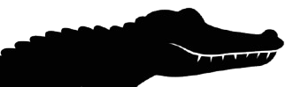 Illustration of the GatorPaper alligator mascot